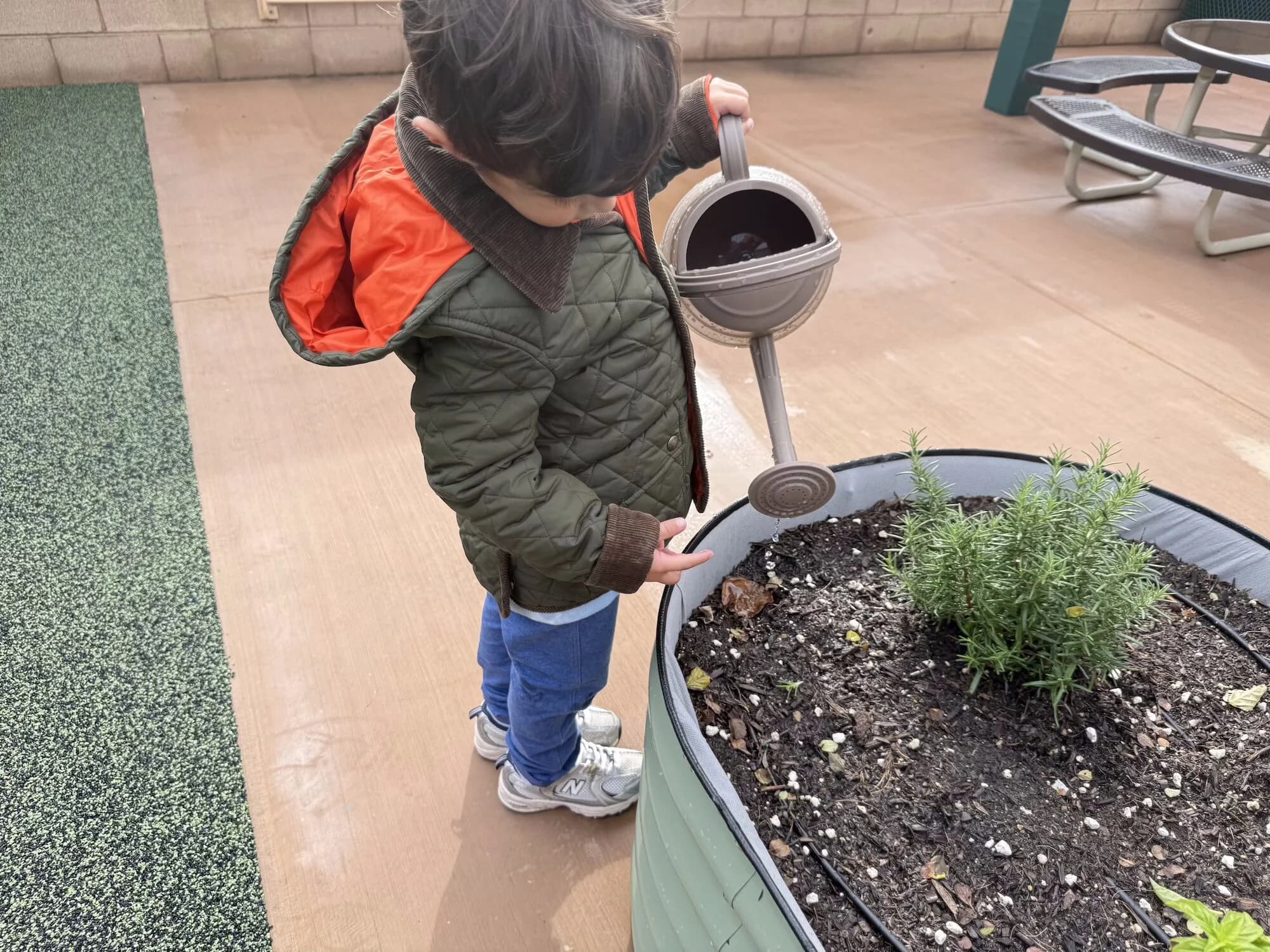Child watering plants in the garden at Ohana