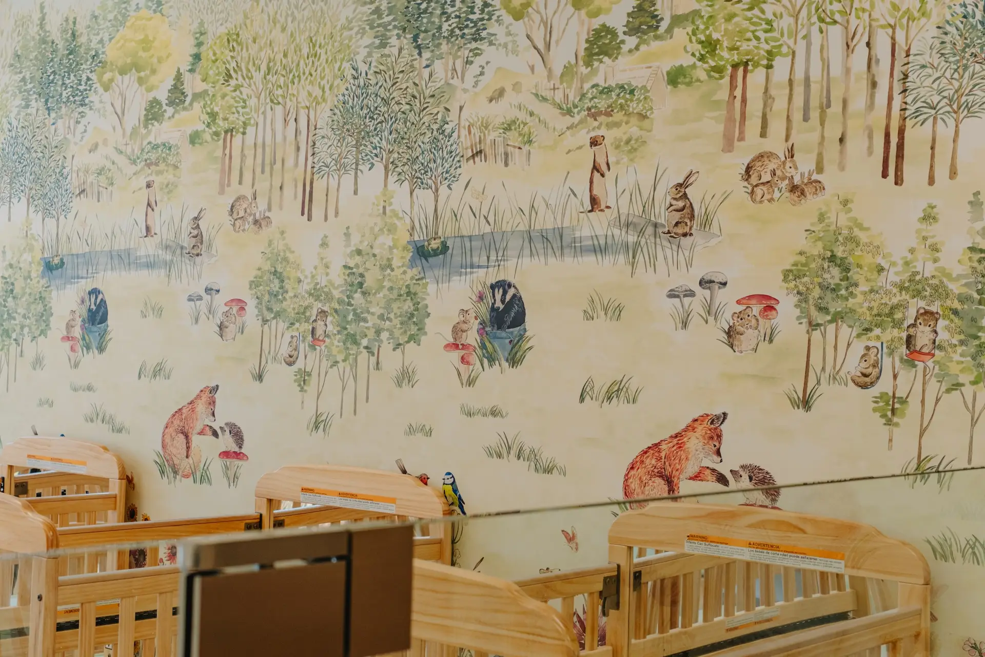 Woodland mural in a classroom